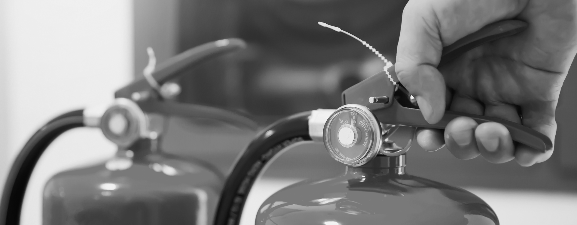 banner1