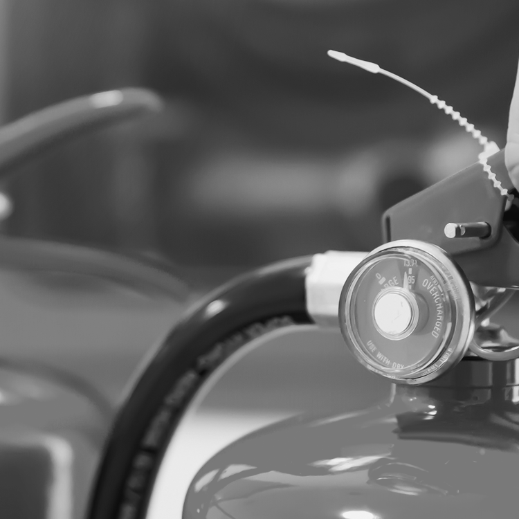 banner1